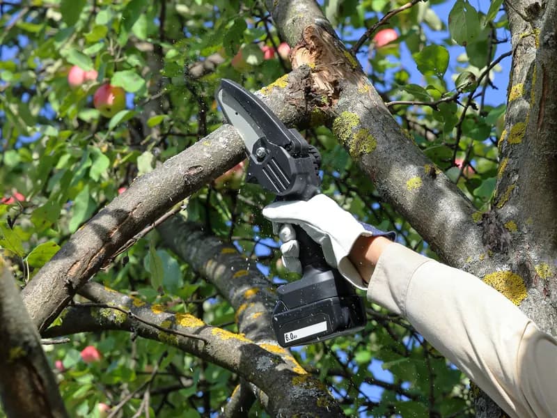 Professional branch cutting with power tools