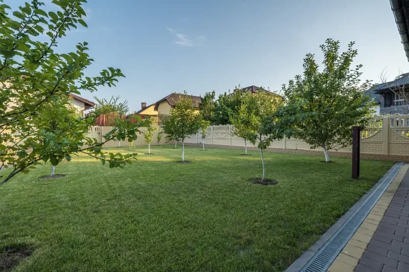 Well-maintained residential yard with healthy trees